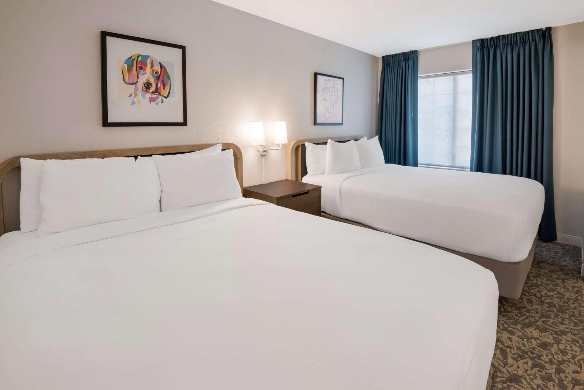 Sonesta Es Suites Andover Boston מראה חיצוני תמונה