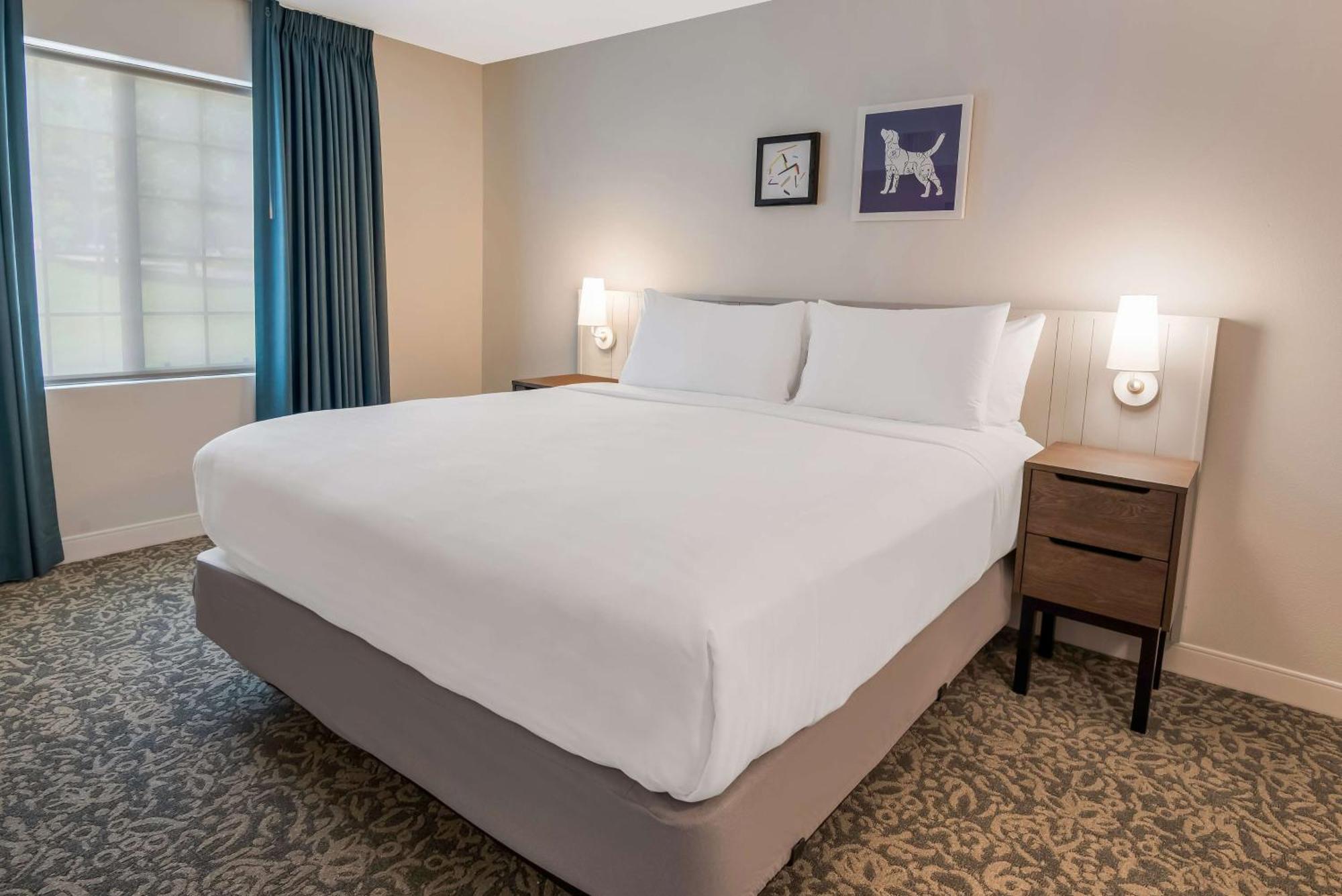Sonesta Es Suites Andover Boston מראה חיצוני תמונה